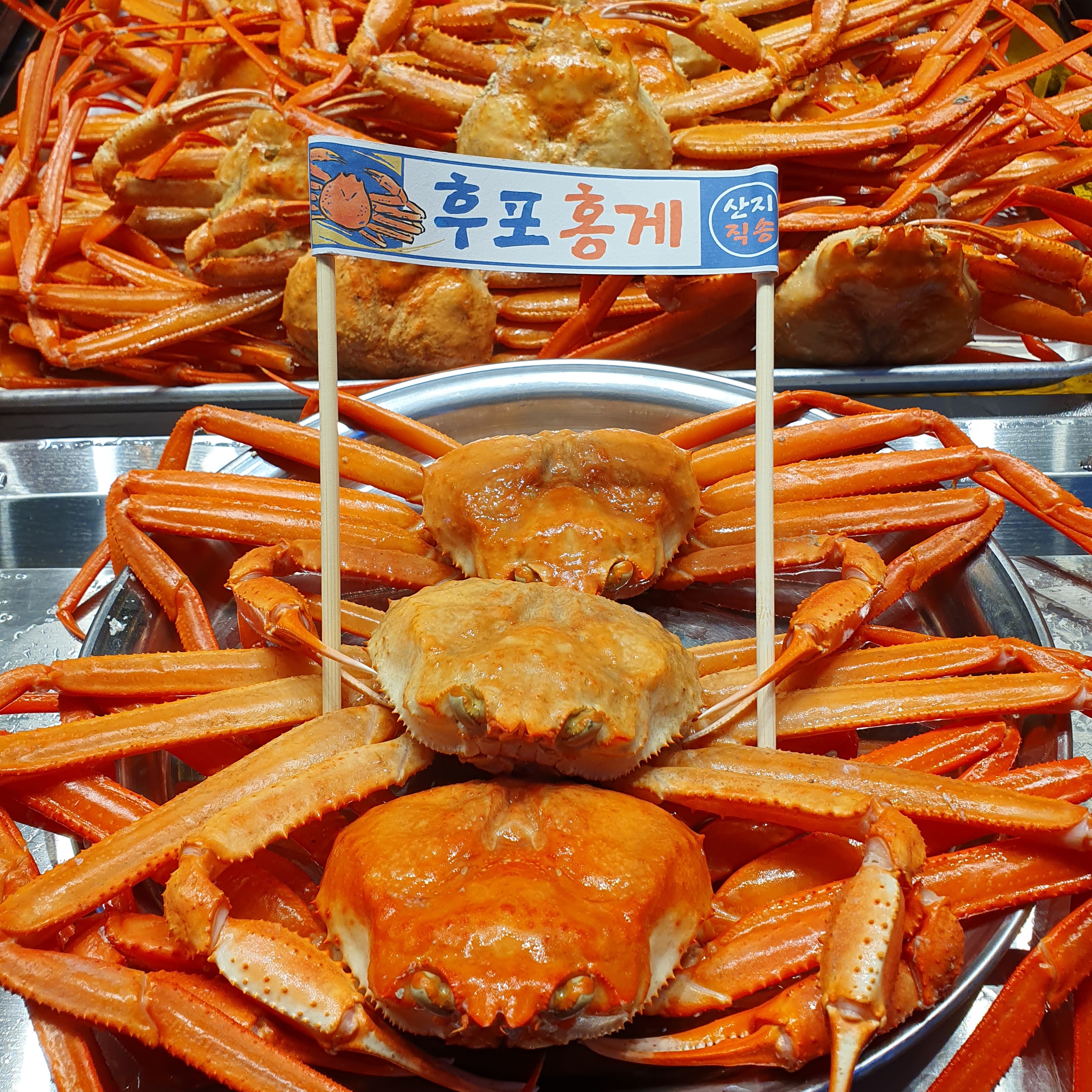 후포홍게