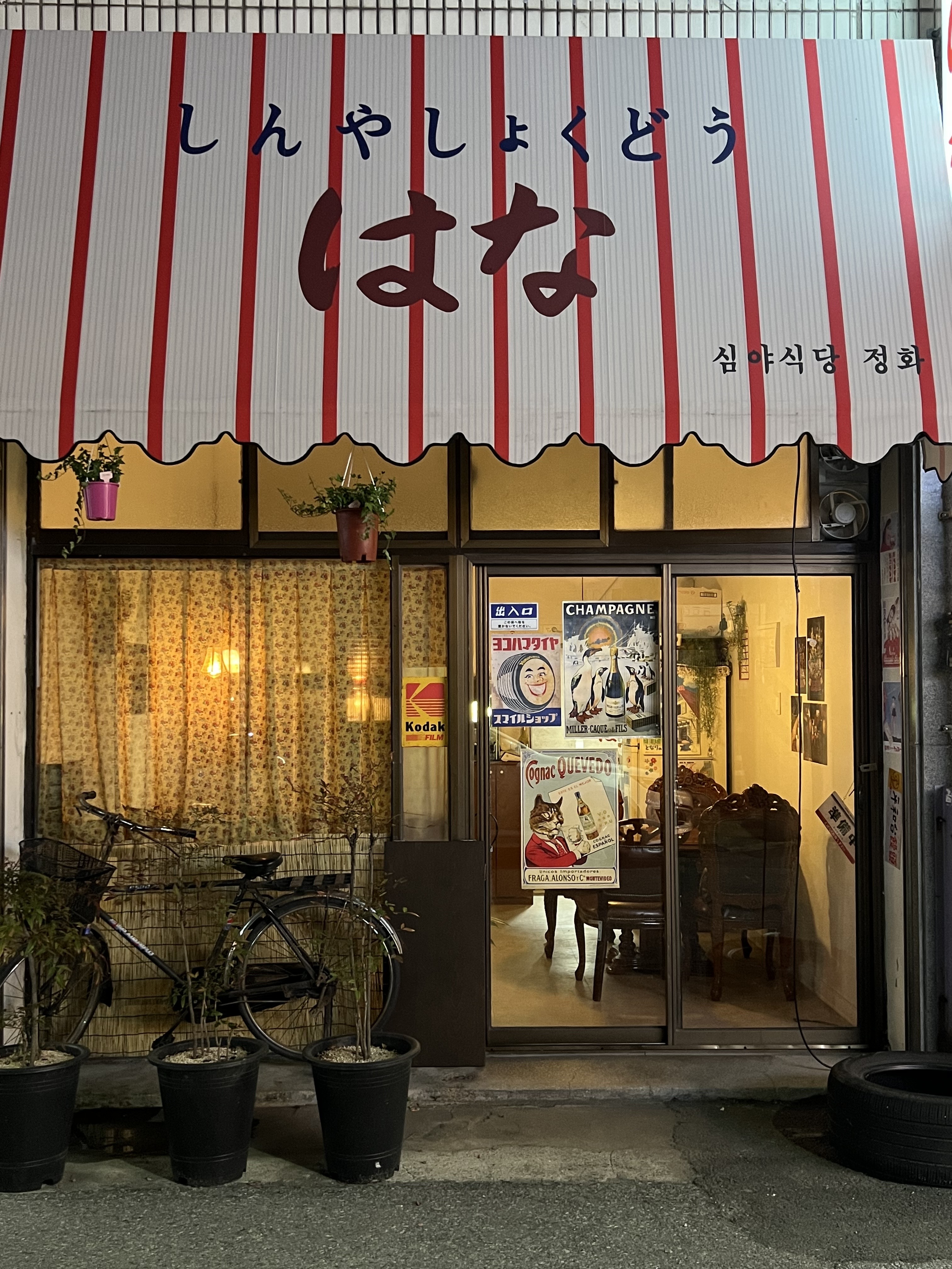 심야식당정화