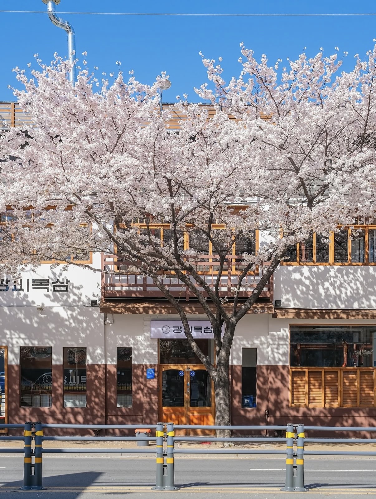 강씨목삼 앞산본점