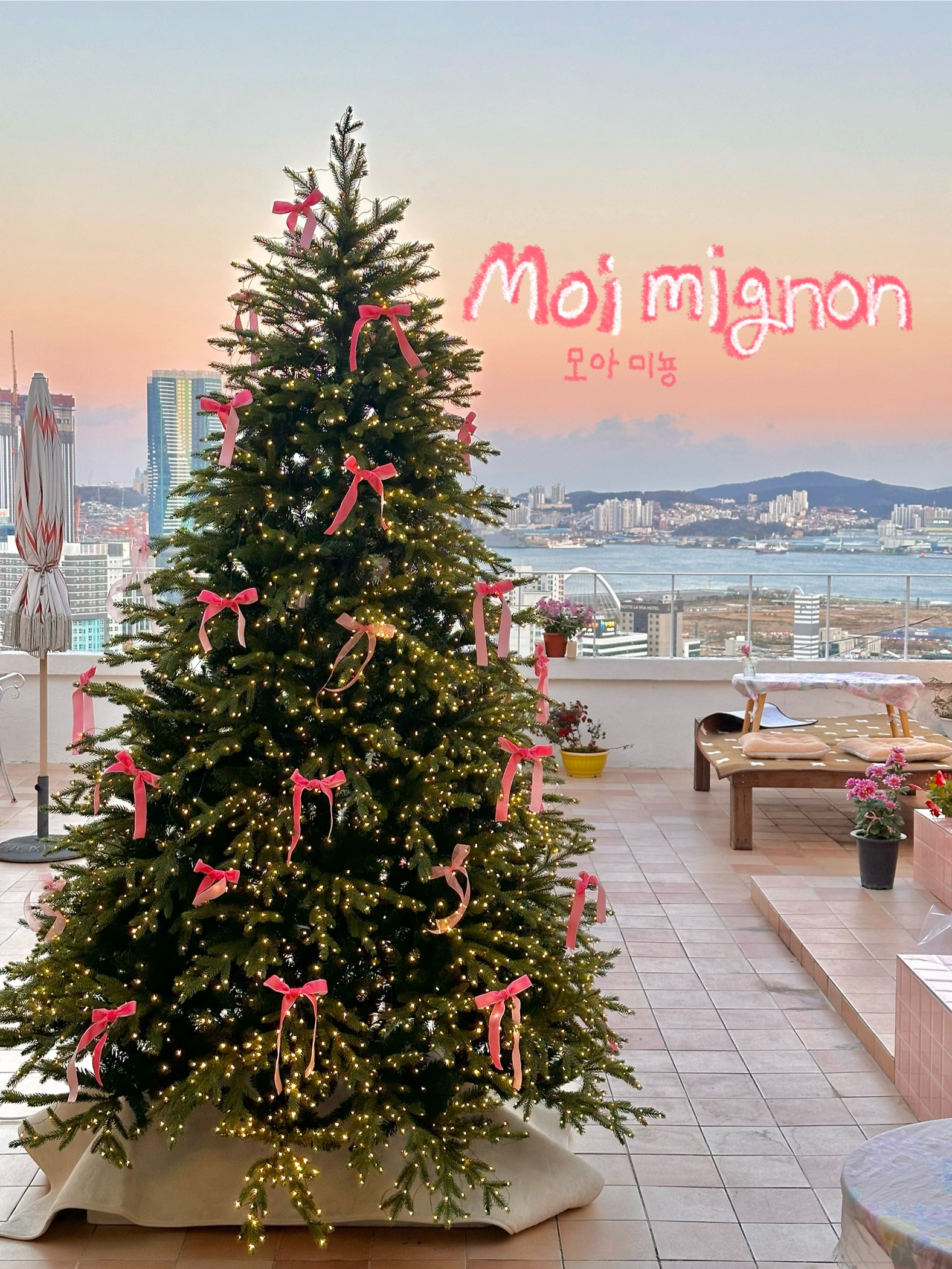 모아미뇽 Moi mignon
