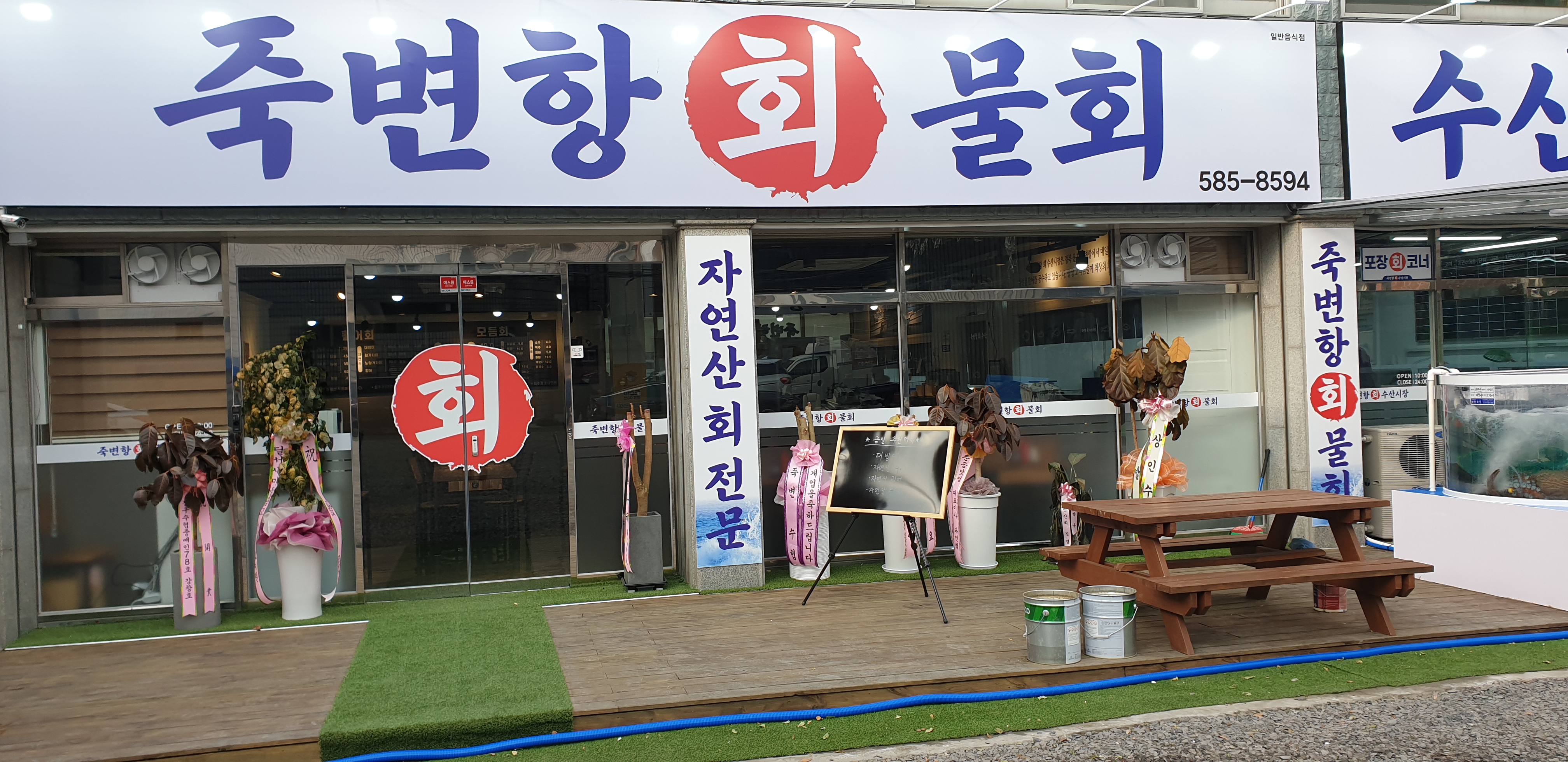 죽변항회물회