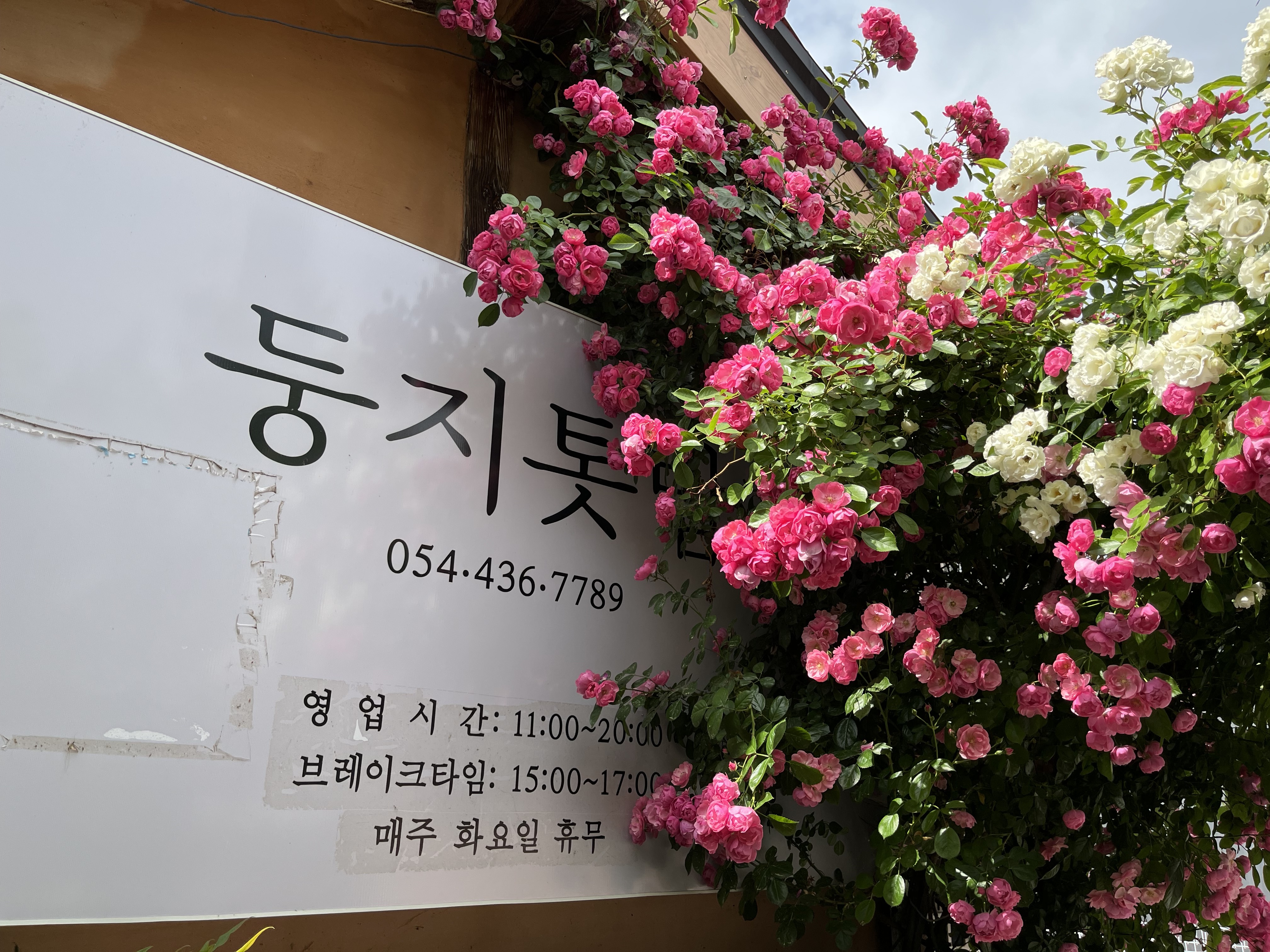 둥지톳밥