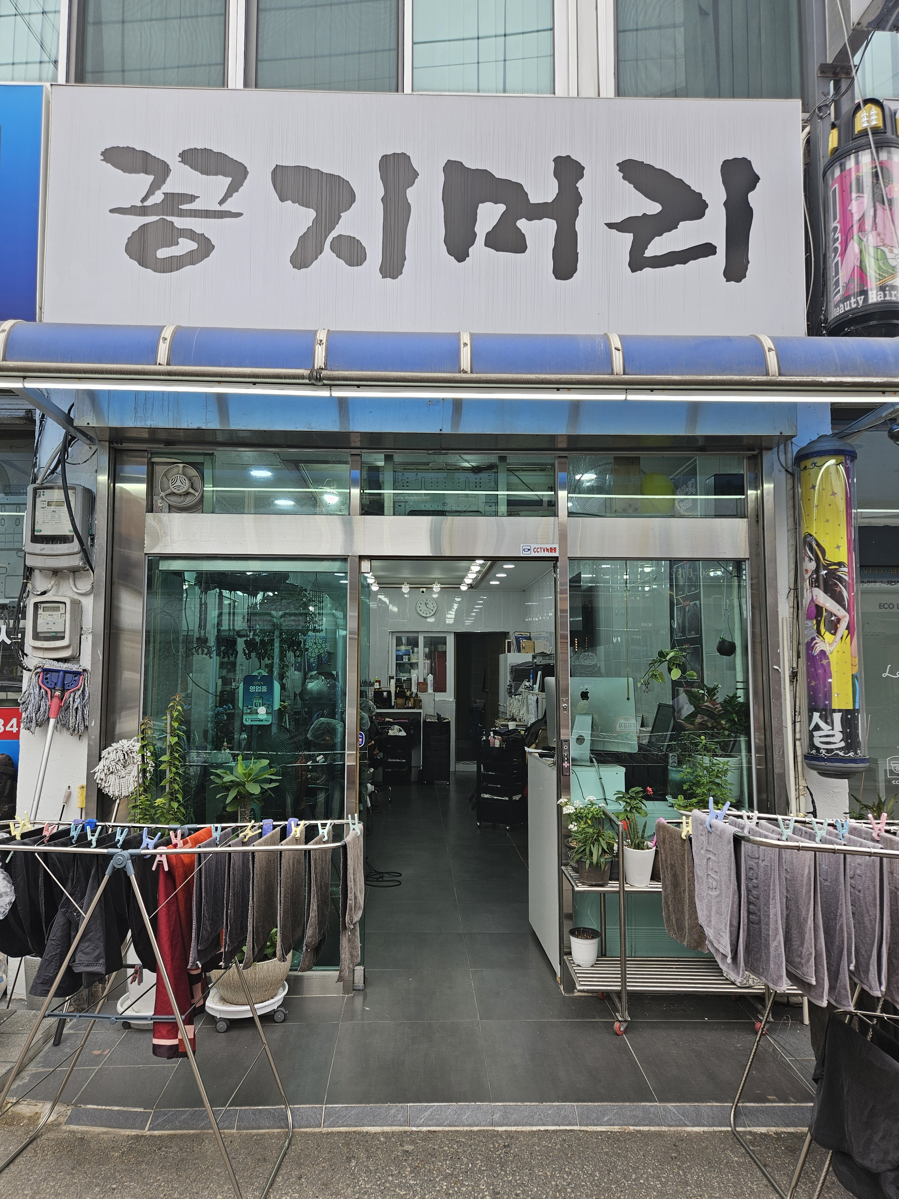꽁지머리