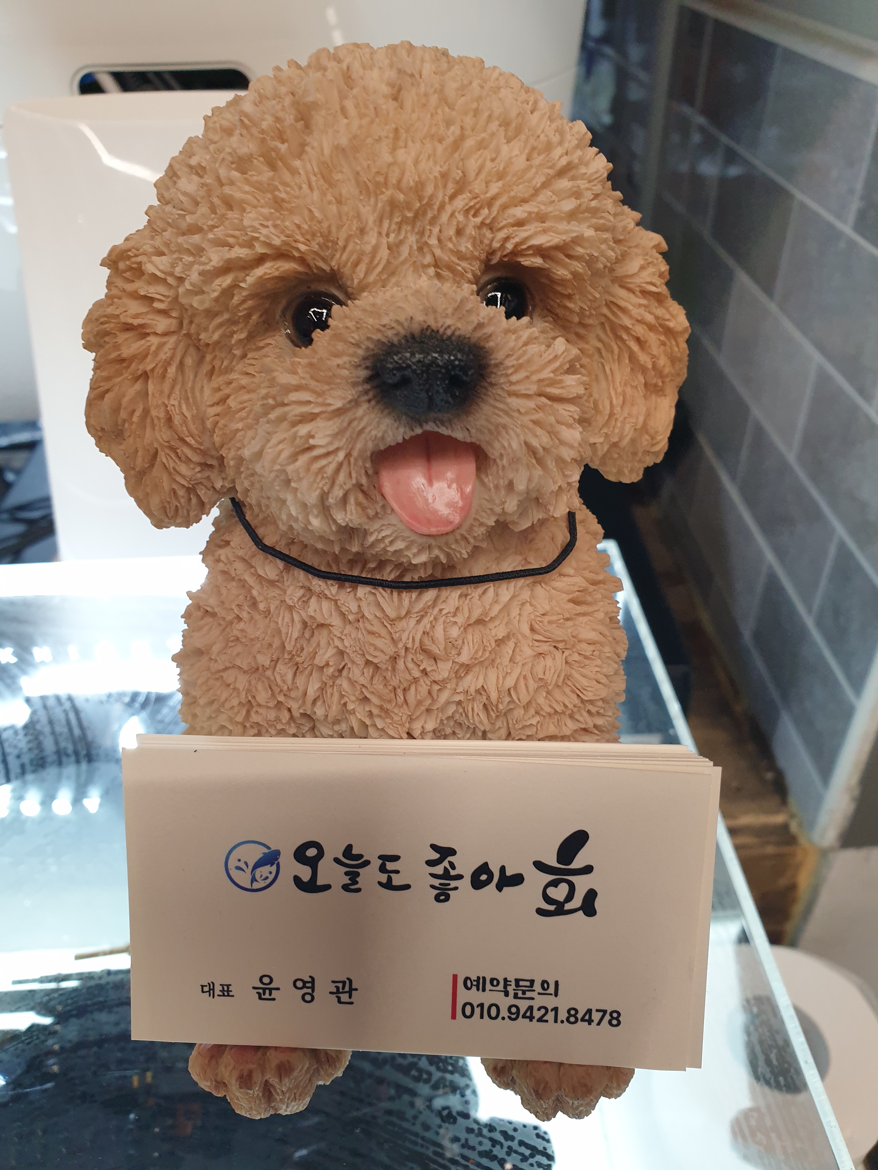 오늘도좋아회