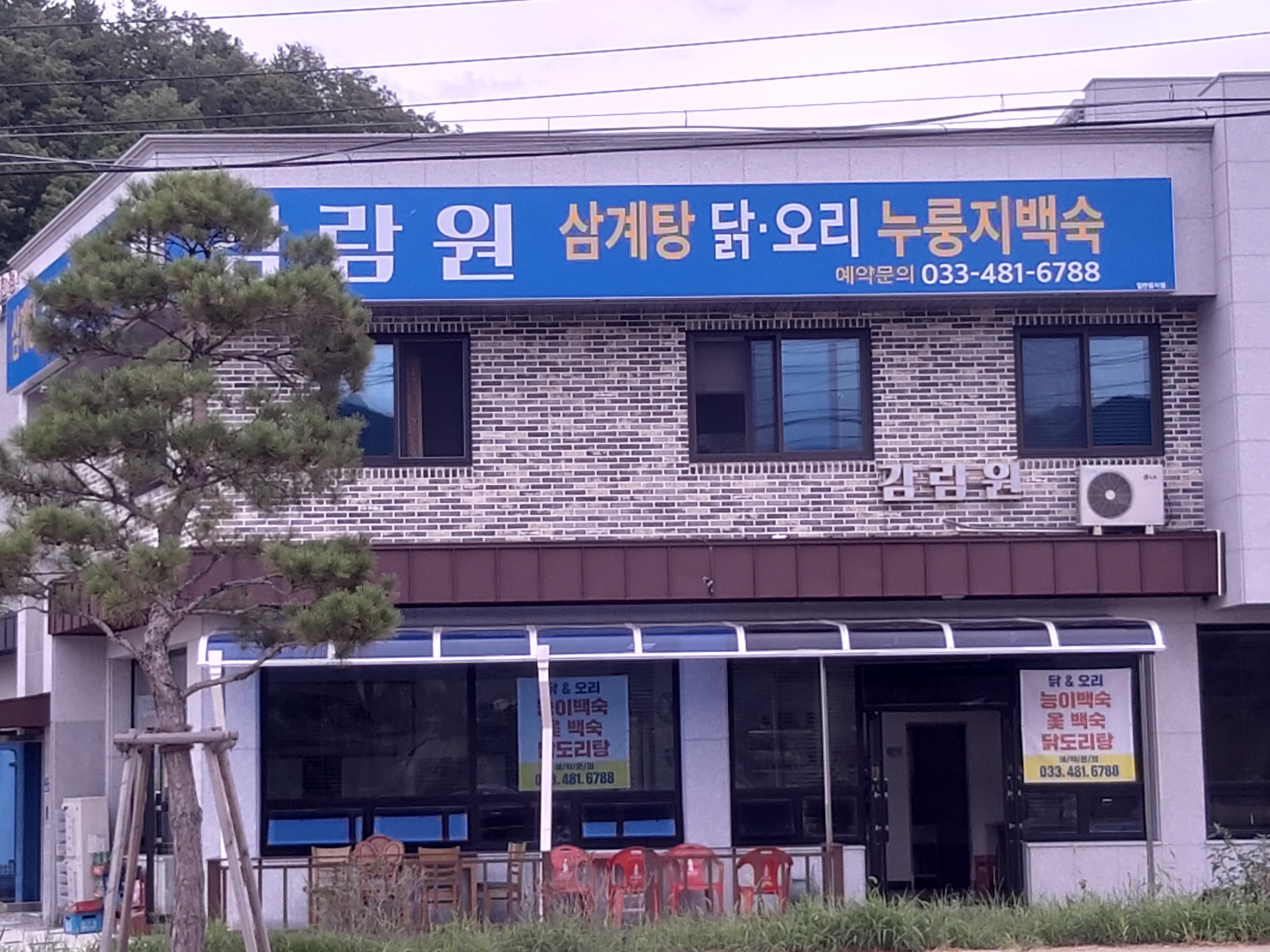 감람원