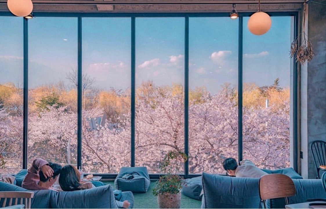 야드