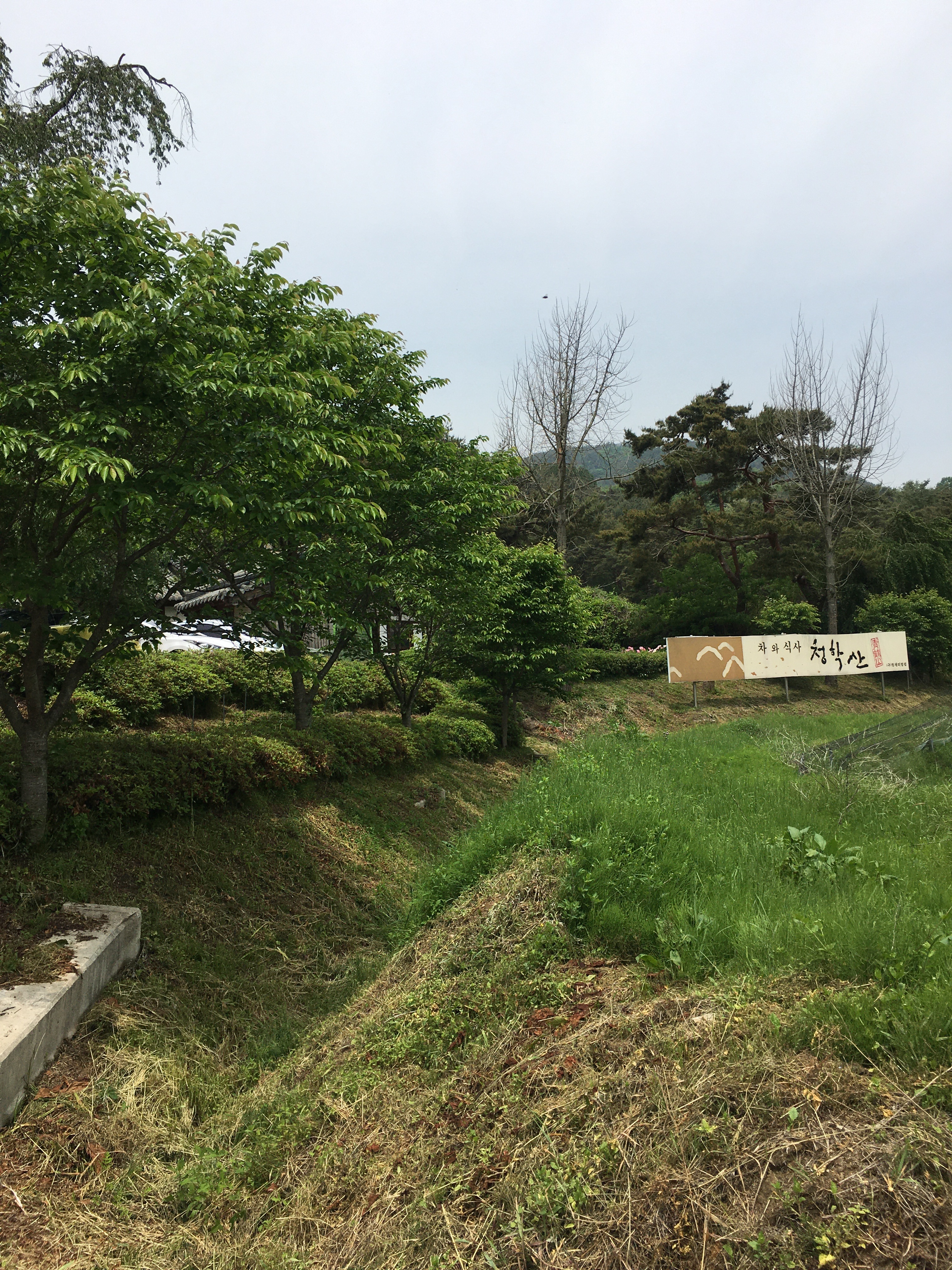 청학산